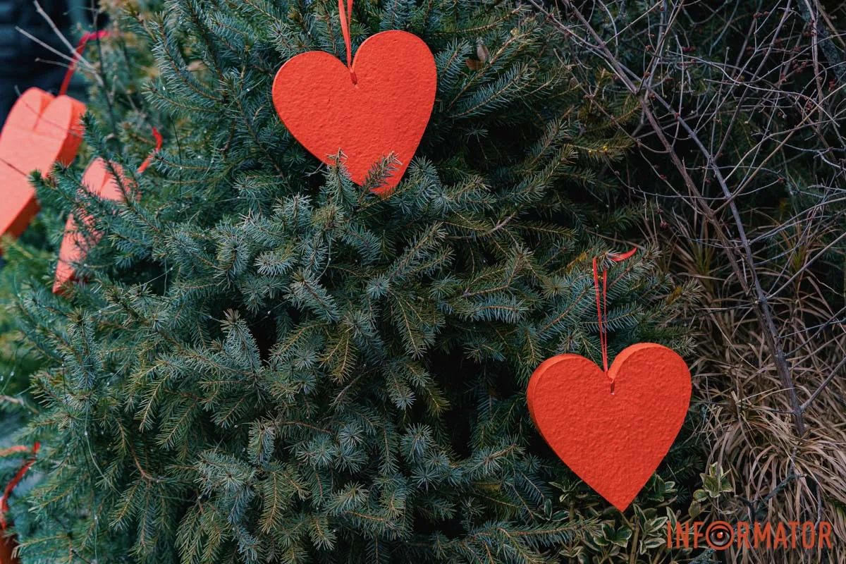Дніпро готується до Дня закоханих: де знайти святкові фотозони 22