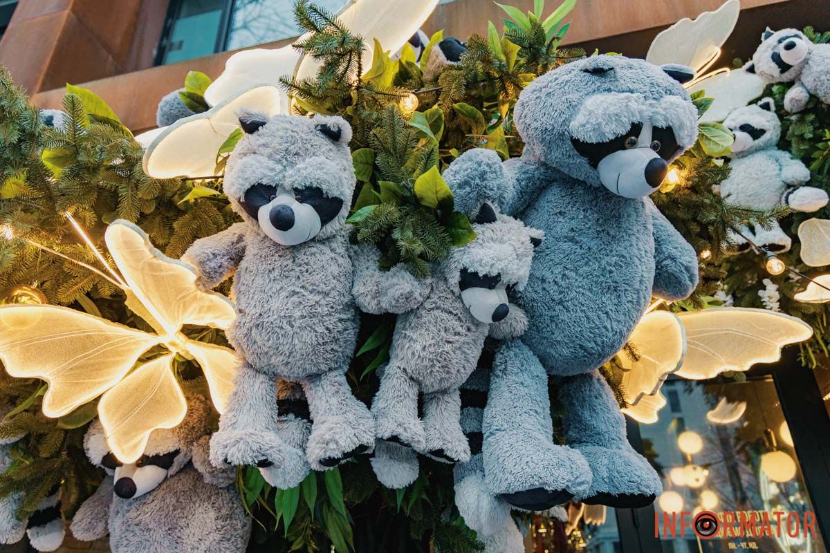 Дніпро готується до Дня закоханих: де знайти святкові фотозони 28