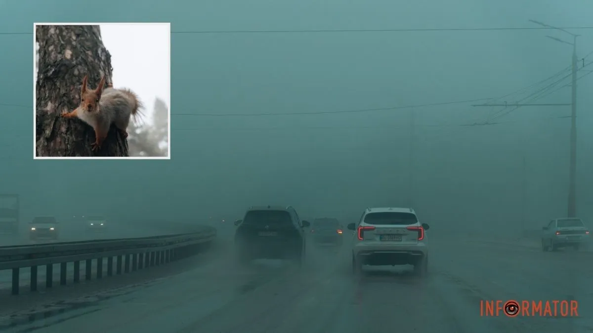 В Днепре будет туман и дождь: прогноз погоды на 15 февраля