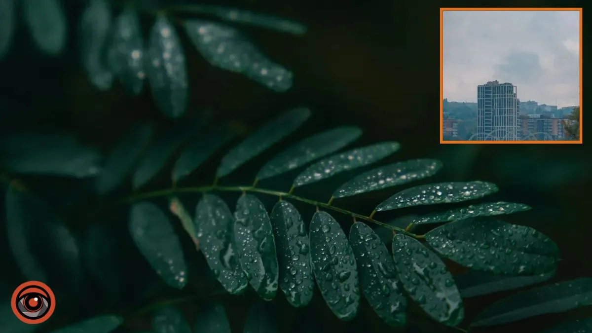 Погода на 15 лютого: у Дніпрі буде хмарно, вдень очікується дощ