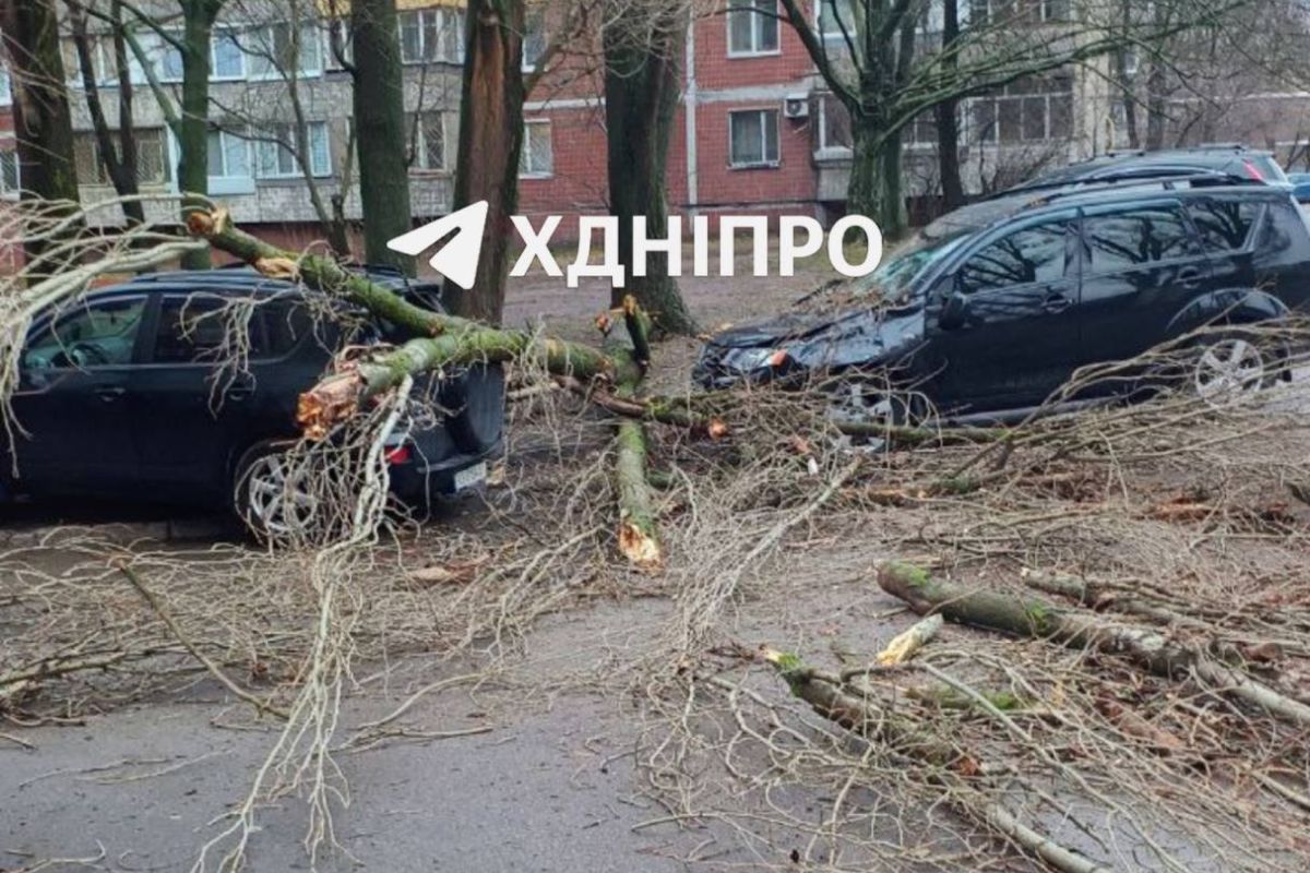 "Деревопад" на "Соколе"