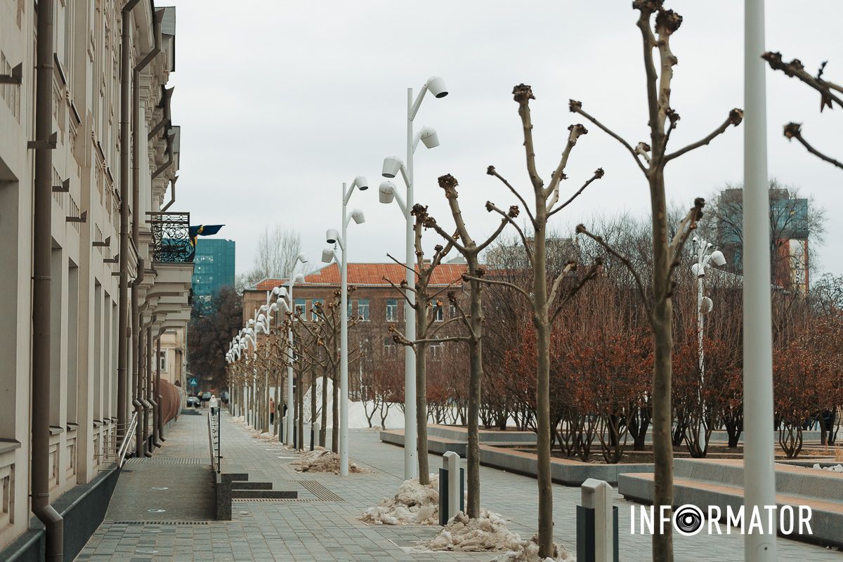 У сквері святих Кирила та Мефодія на Успенській площі тривають роботи з формовочної обрізки платанів Навіщо обрізають дерева на Успенській площі у Дніпрі 1