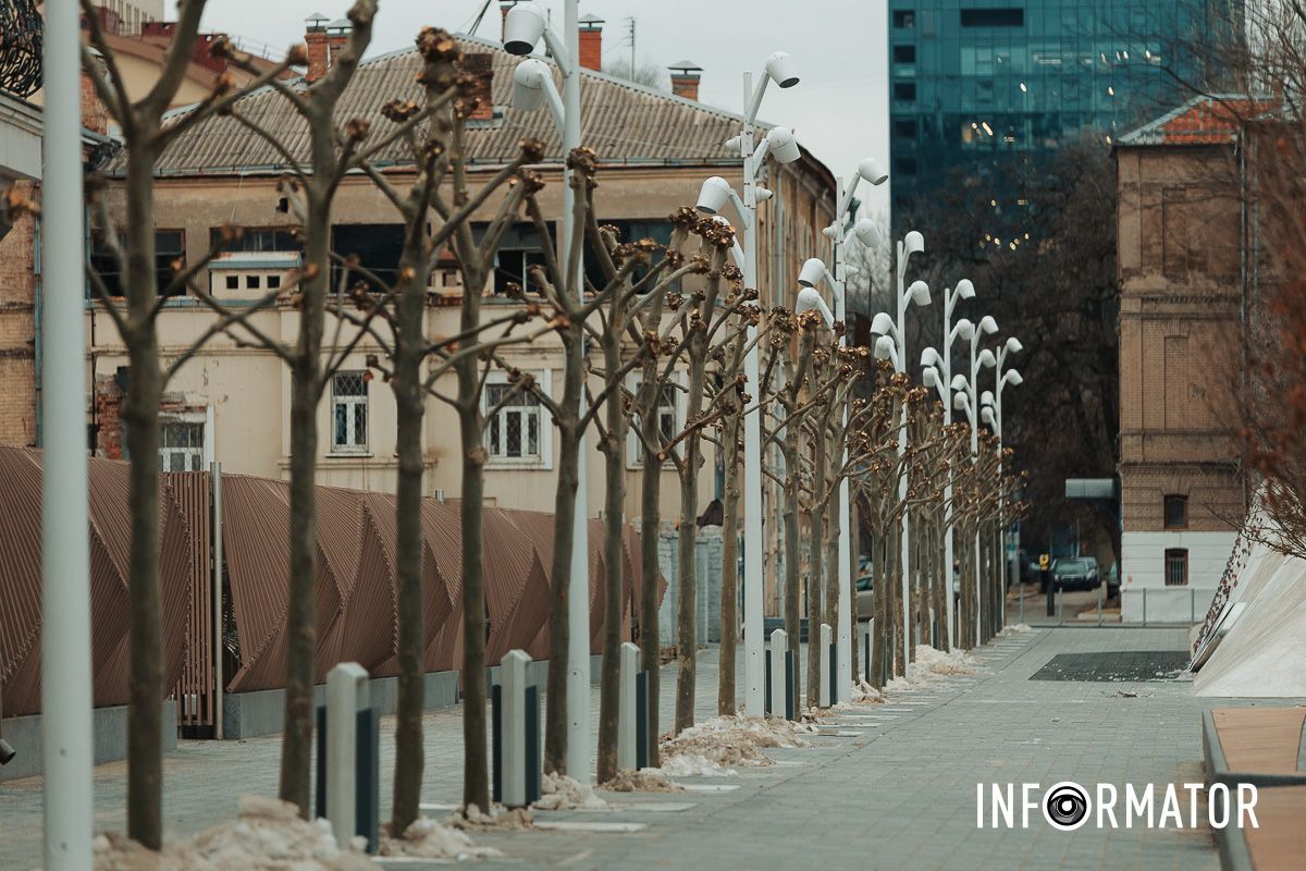 Обрізка також допомагає підтримати здоровий ріст платанів. Навіщо обрізають дерева на Успенській площі у Дніпрі 6
