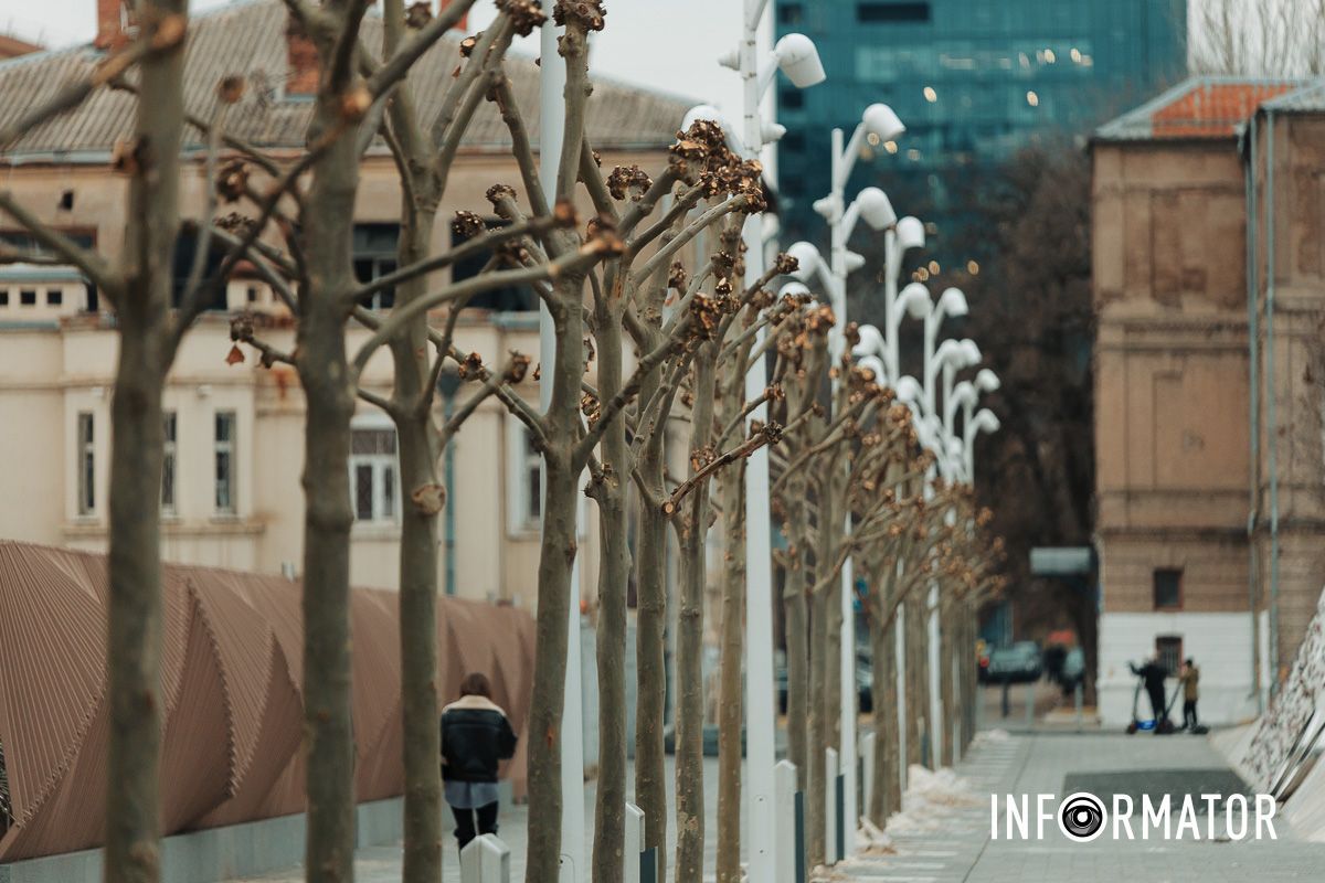 Платани готують до весни Навіщо обрізають дерева на Успенській площі у Дніпрі 8