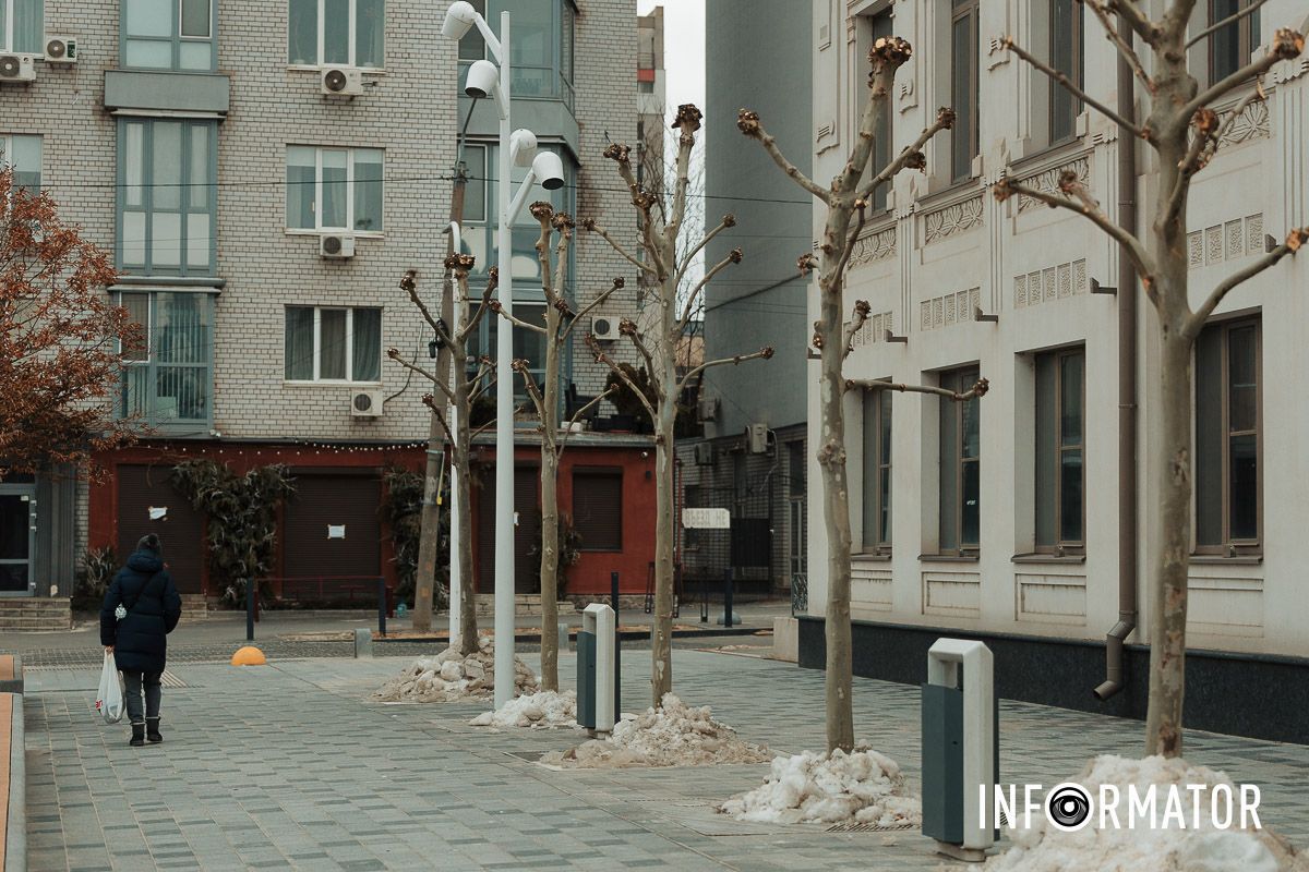 Догляд за деревами у центрі Дніпра Навіщо обрізають дерева на Успенській площі у Дніпрі 10