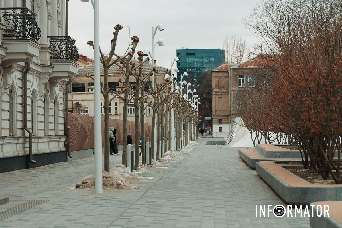 Фото - Максим Якушев Навіщо обрізають дерева на Успенській площі у Дніпрі 11