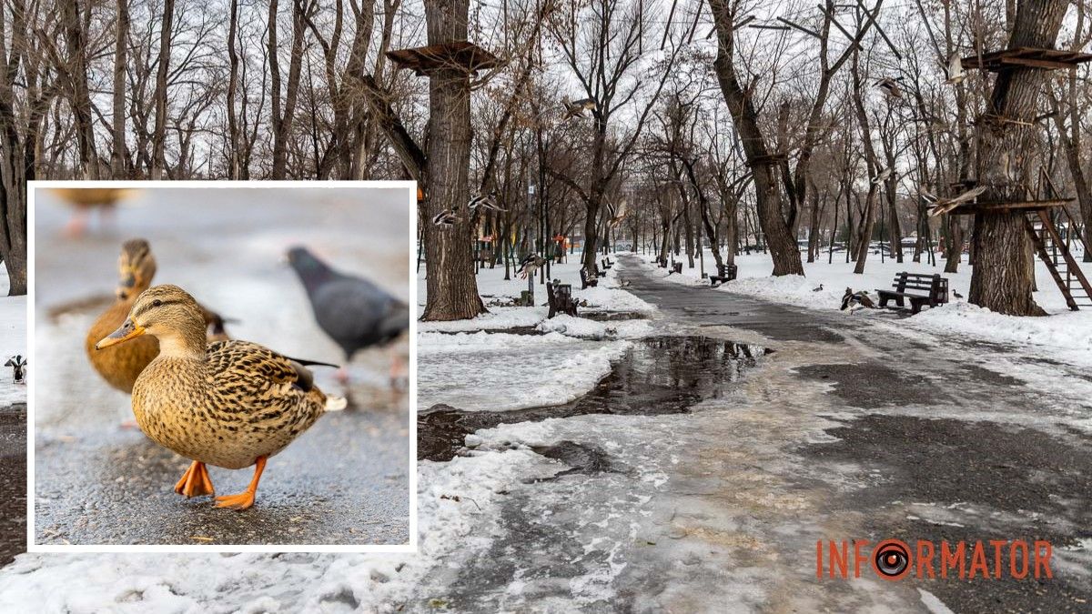 Погода на 21 лютого: у Дніпрі буде слабка хмарність