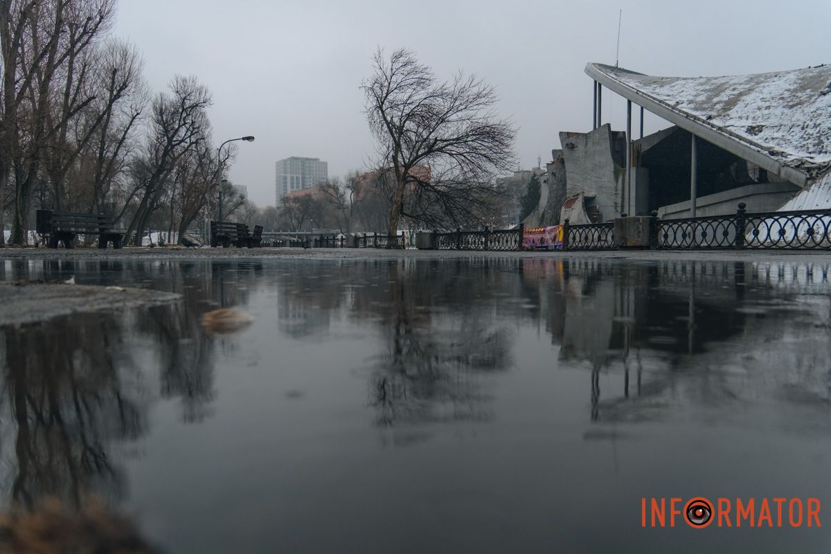 У птахів у них з’явилися нові «маршрути» між лавками та ліхтарями