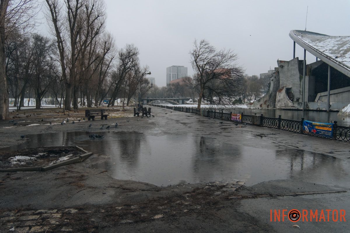 У птахів у них з’явилися нові «маршрути» між лавками та ліхтарями