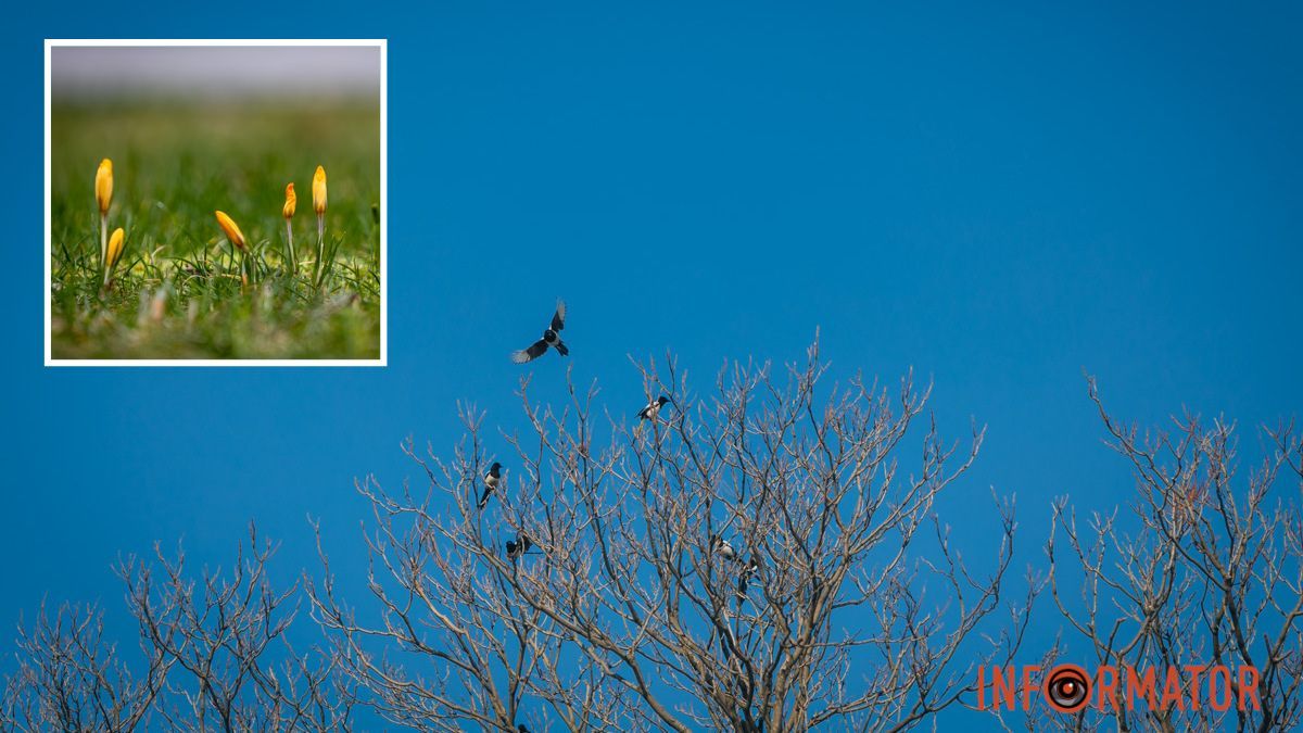 Погода на 1 березня: у перший день весни у Дніпрі буде ясно до самого вечора