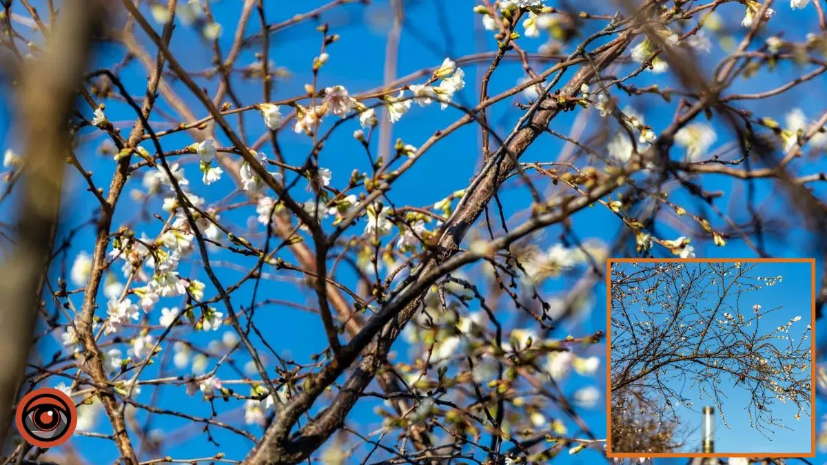 На яку погоду чекати у Дніпрі 2 березня: прогноз синоптиків