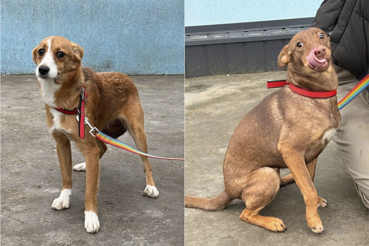Можливо, вони чекають саме на вас Можливо, вони чекають саме на вас