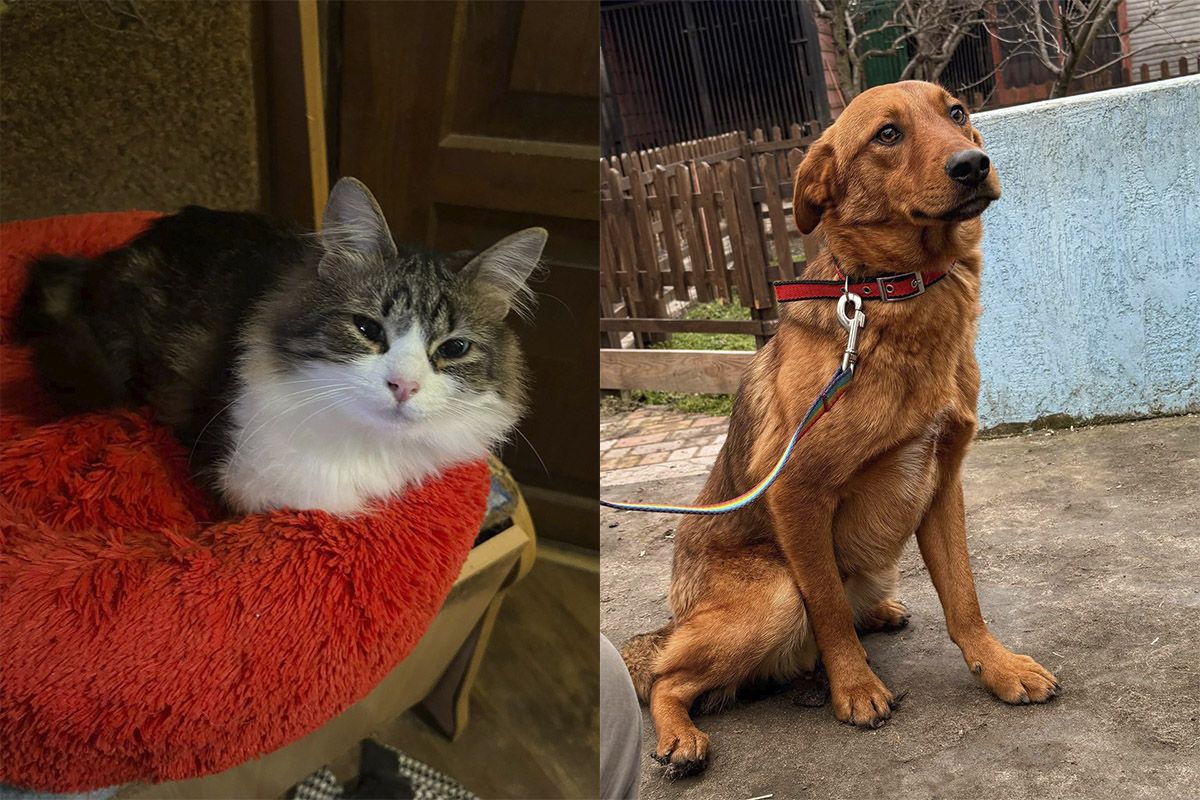 Мініпритулок "Промінчик надії" Мініпритулок "Промінчик надії"