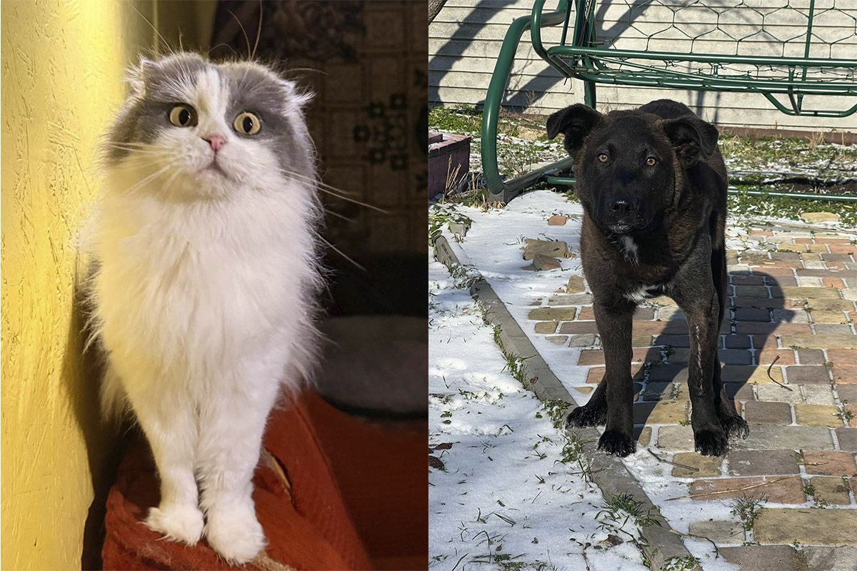 Допомагайте так, як зручно вам Допомагайте так, як зручно вам