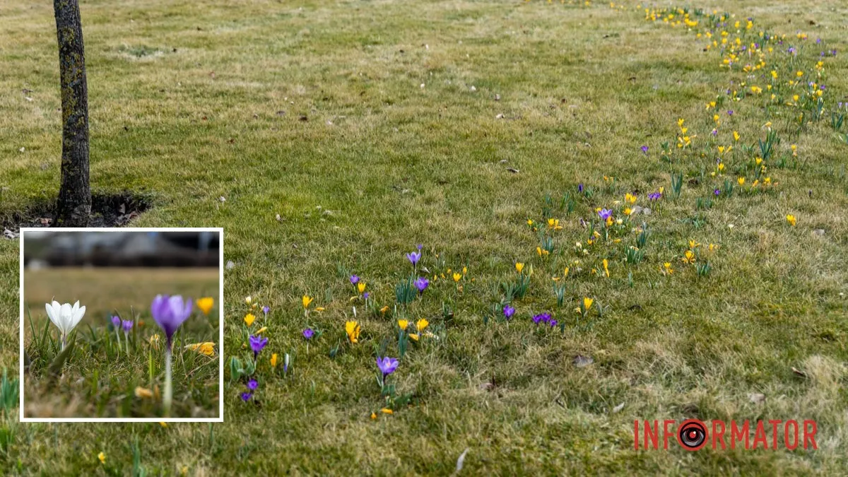 Погода на 4 березня: у Дніпрі буде сильна хмарність