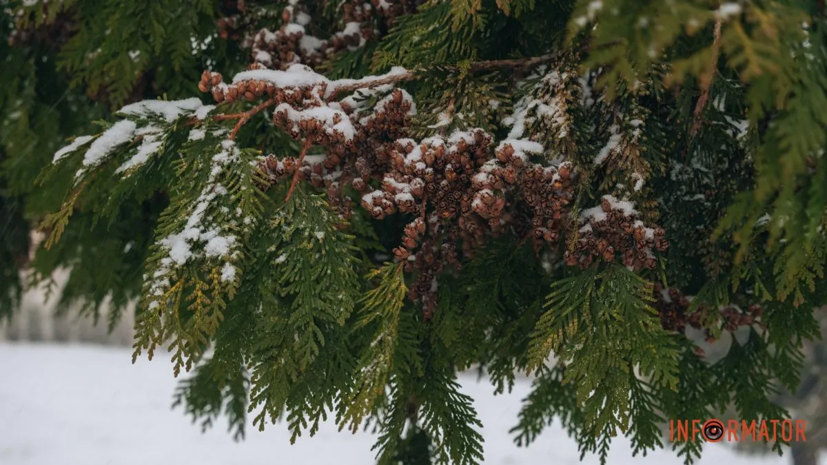 Зима не хоче йти: у Дніпрі на 6 березня прогнозують сніжні зерна