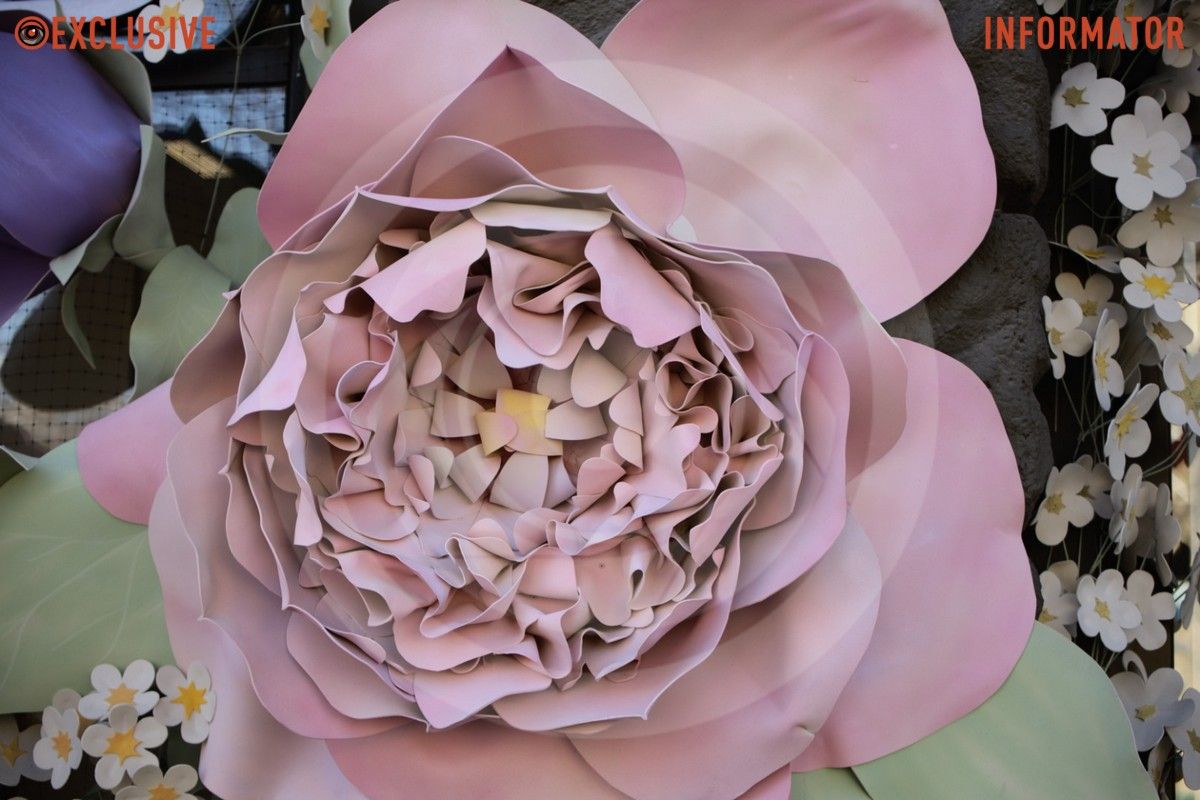 Гігантські квіти посеред міста: у центрі Дніпра встановили весняну фотозону 5