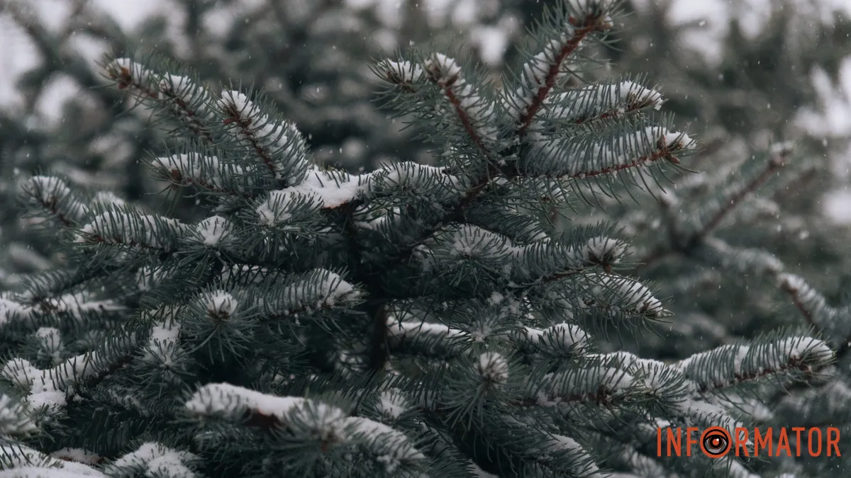 В Днепре 6 марта возможен снег с дождем