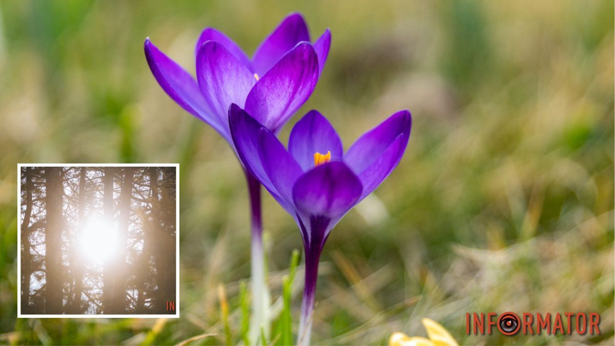 Сонце та ясне небо: якою буде погода у Дніпрі 8 березня