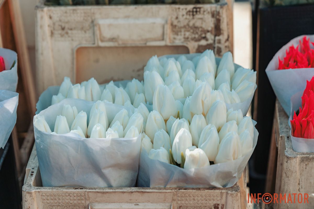 Білі тюльпани Майже 5 тисяч гривень за букет тюльпанів: скільки у Дніпрі коштують квіти на 8 березня 5