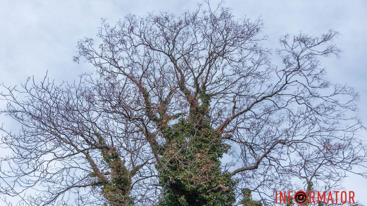 Похмуро з проясненнями: якою буде погода у Дніпрі 9 березня