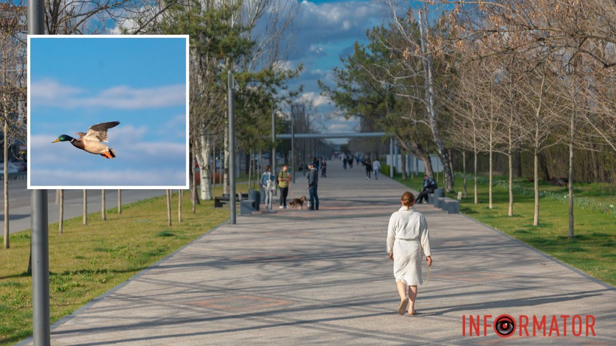 Тепло і ясно протягом дня: якою буде погода у Дніпрі 12 березня