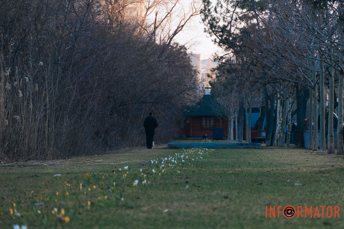 Ніжні квіти з’явилися на міських клумбах.