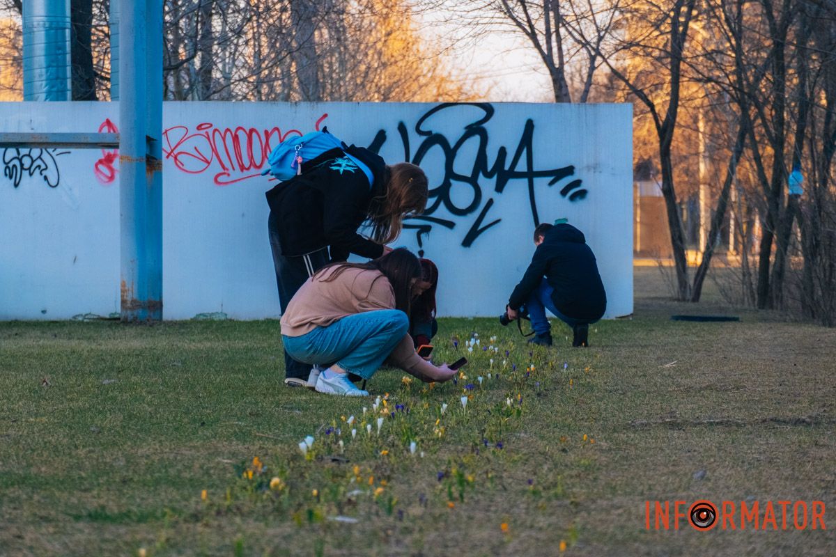 Містяни зачаровані квітами