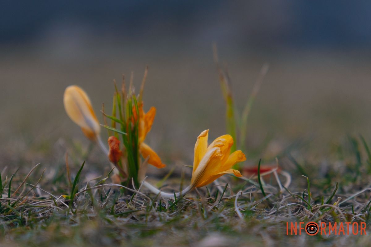 Наші оператори не змогли пройти повз цю красу