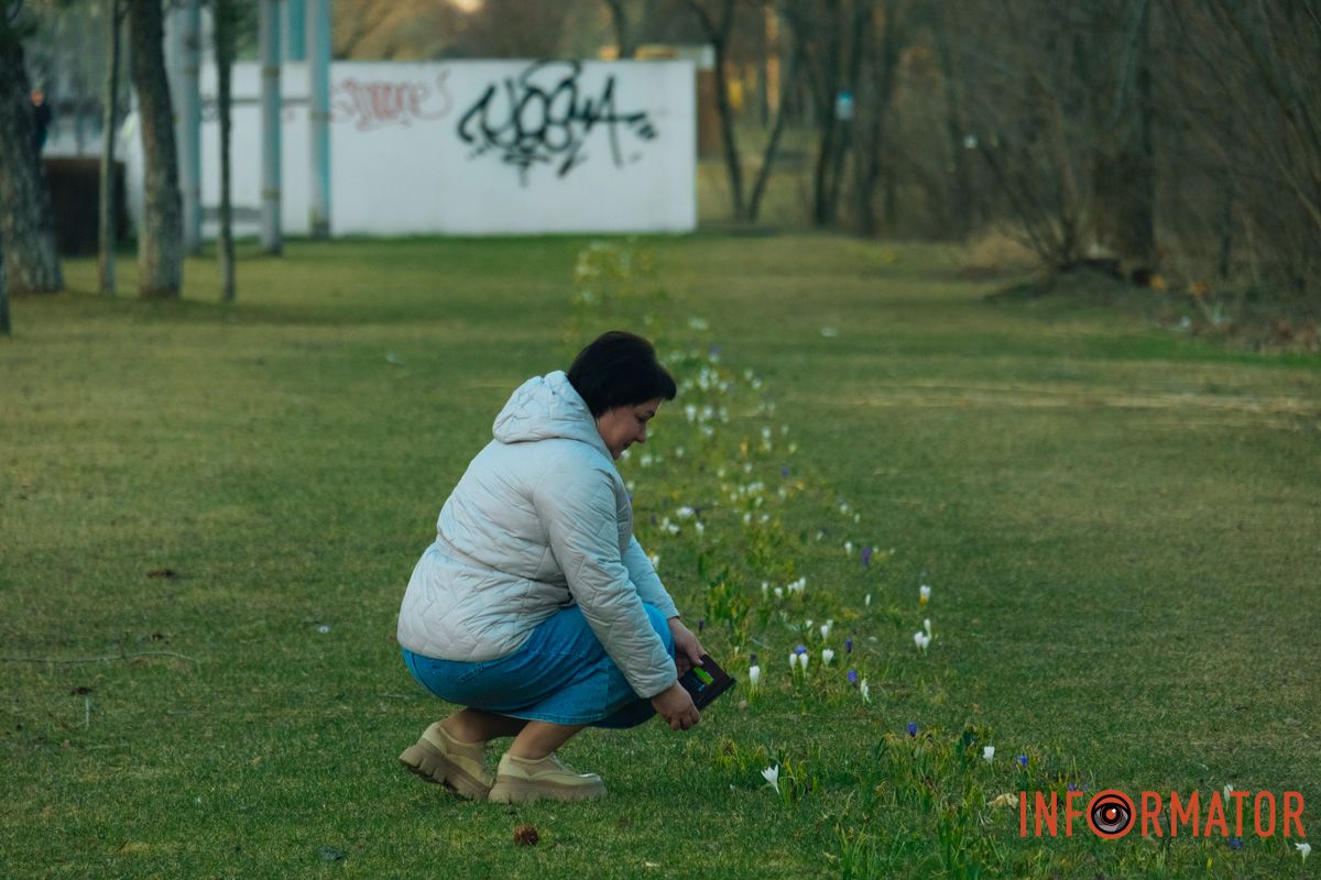 Квіти привертають увагу перехожих