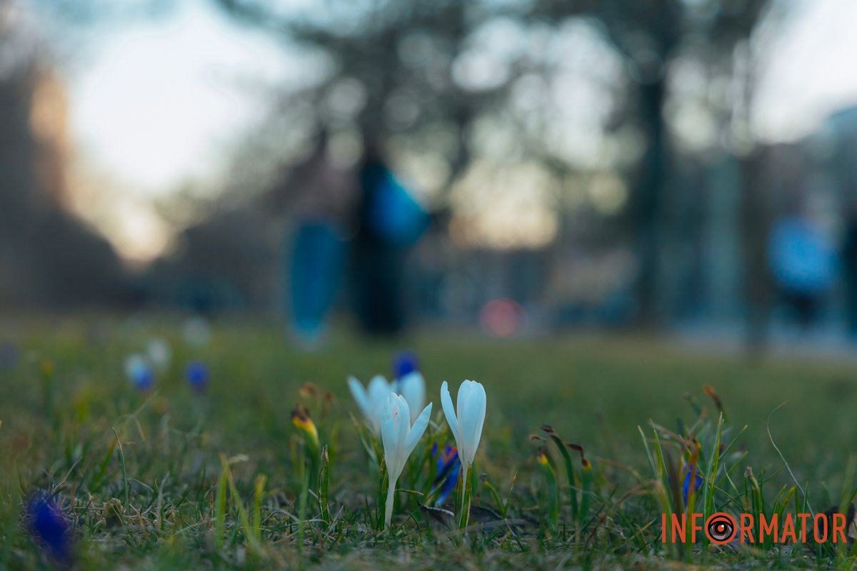 Вони символізують надію та відновлення