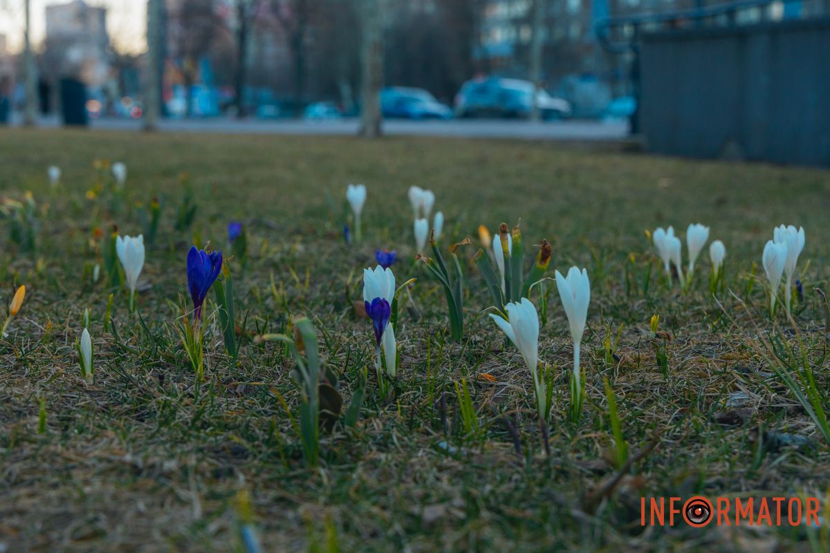 У Дніпрі справжня весна