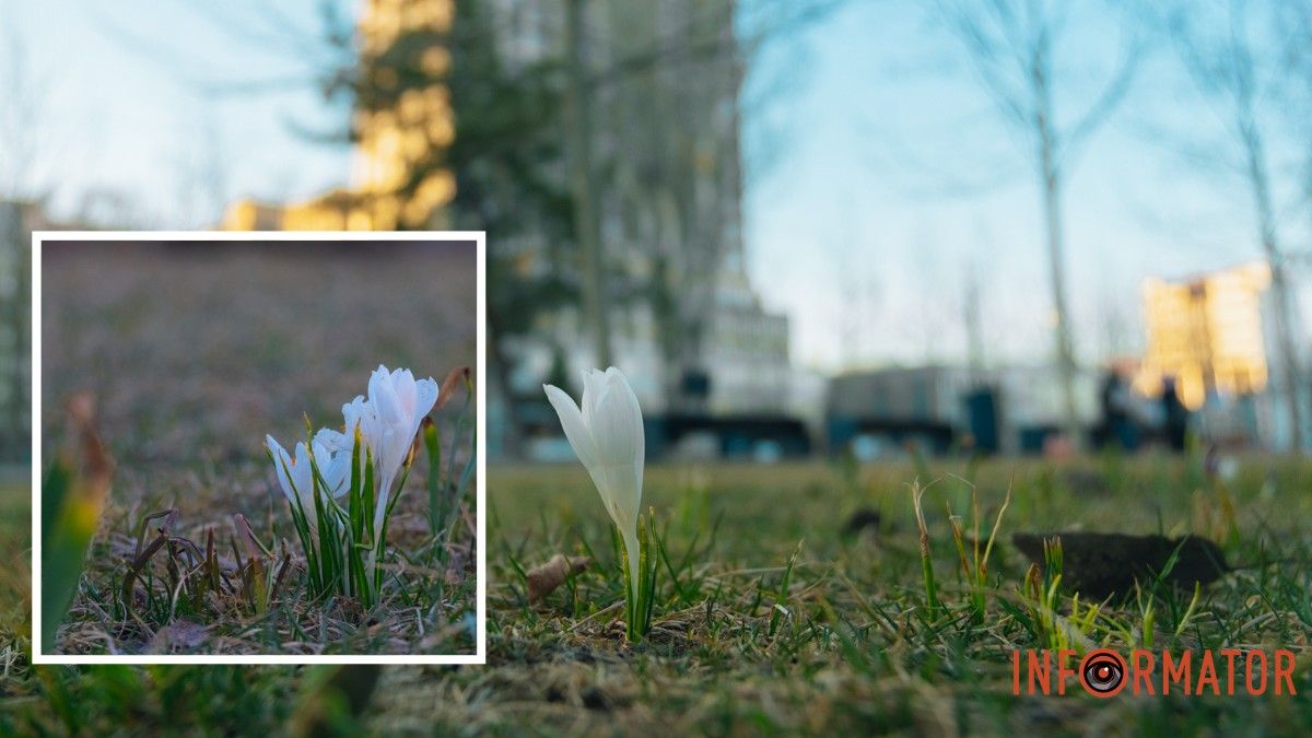 Погода на 13 березня: у Дніпрі буде ясно