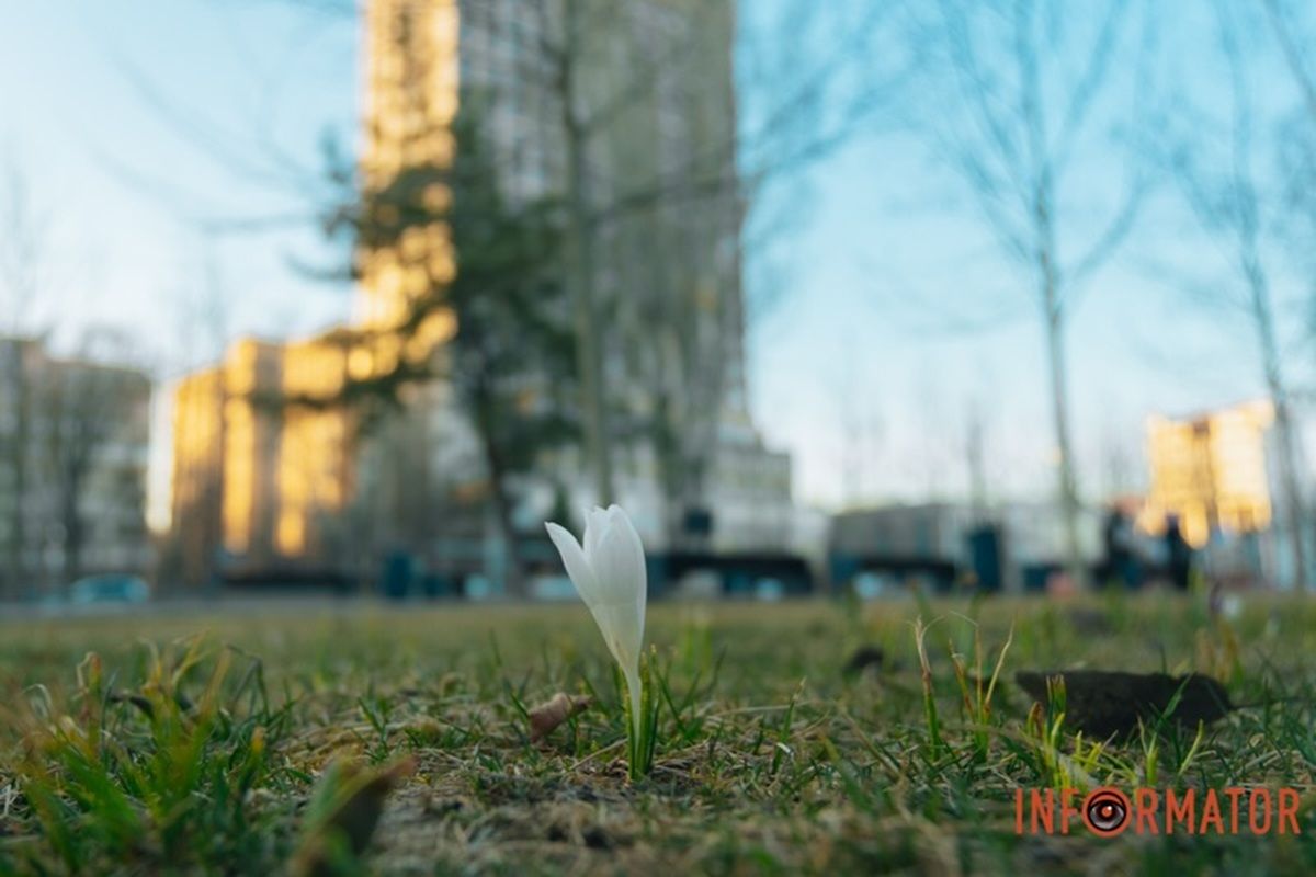 Якби у Дніпра був Instagram: топ фотографій цього тижня 7