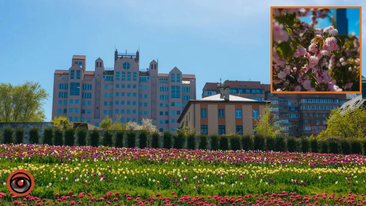 У Дніпрі 15 березня буде ясно: прогноз погоди