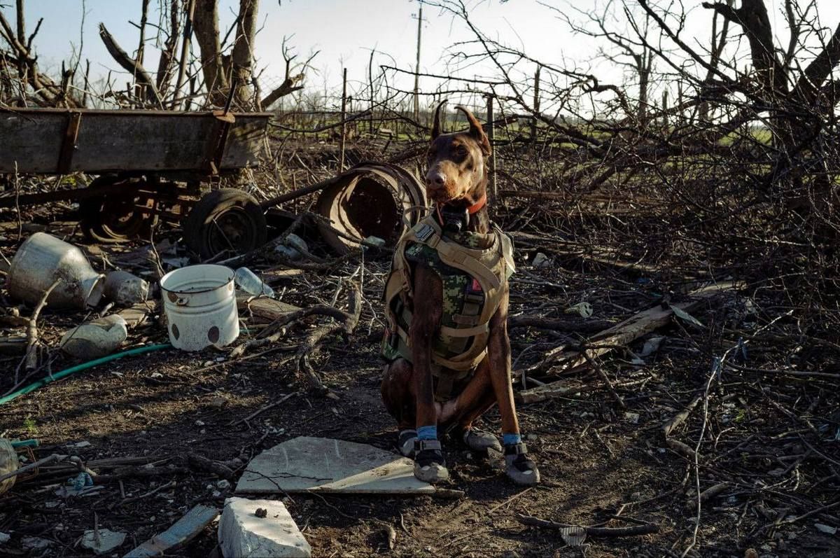 Ханна поклала своє здоров’я, працюючи на місцях важких боїв та ворожих атак