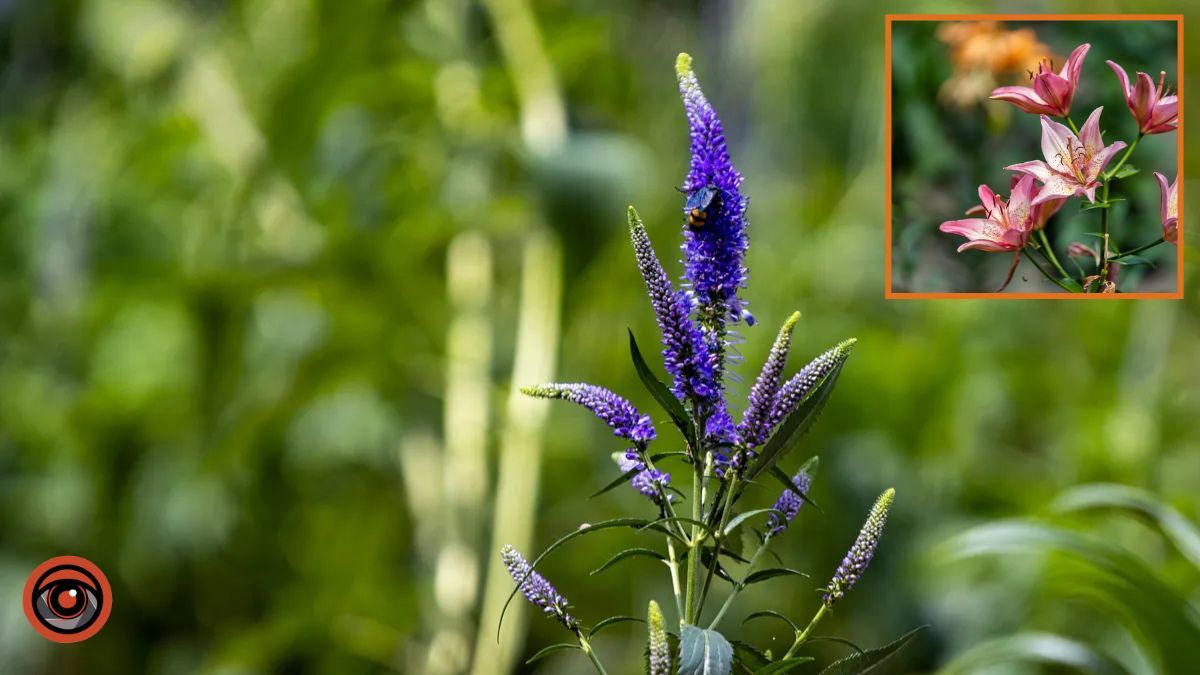 На яку погоду чекати у Дніпрі 22 березня: прогноз синоптиків