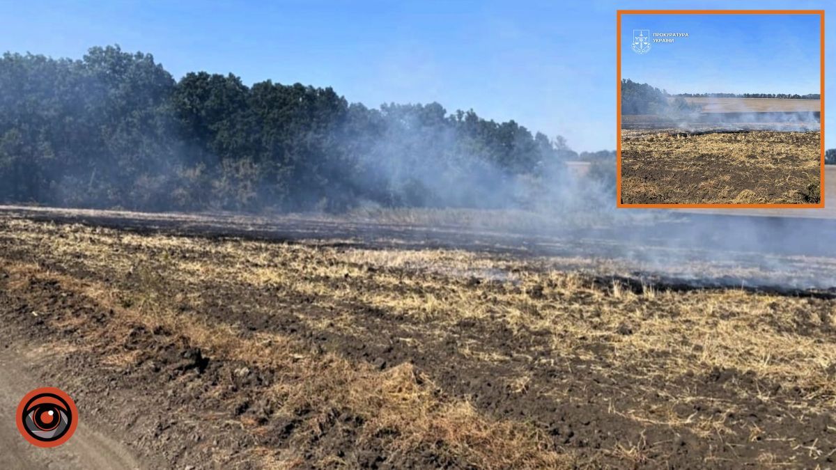 Майже 2 мільйони гривень збитків: у Дніпропетровській області судитимуть фермера, який підпалив стерні