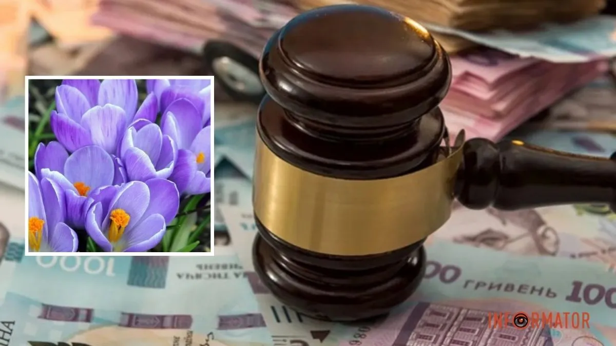 Знаходяться у Червоній Книзі: у Дніпропетровській області штрафуватимуть за зривання первоцвітів