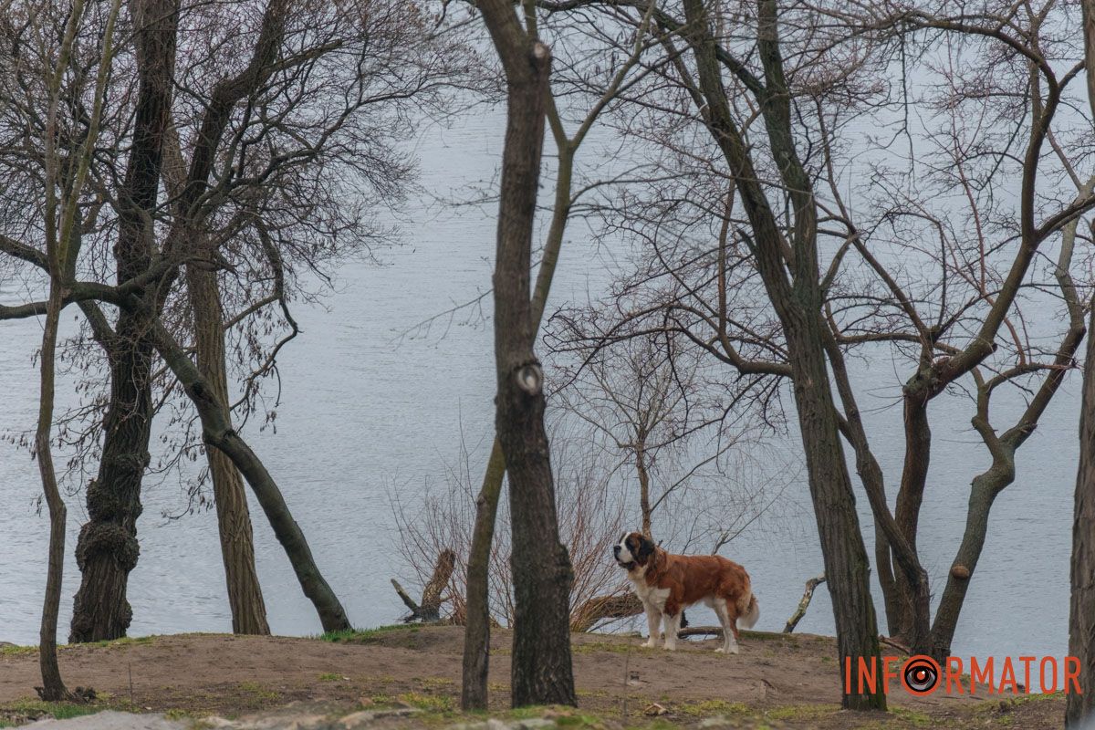 Дніпро у сірому: похмурий весняний день очима міста 5