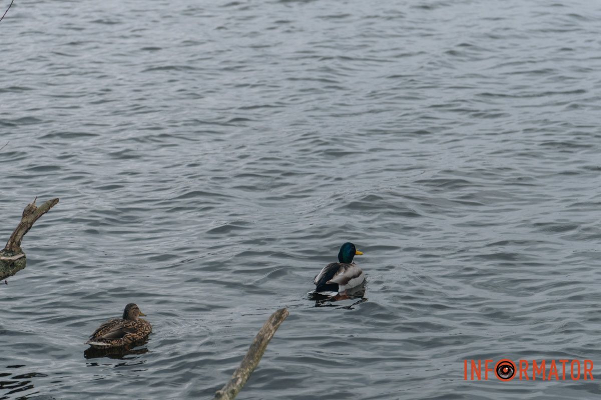 Дніпро у сірому: похмурий весняний день очима міста 11