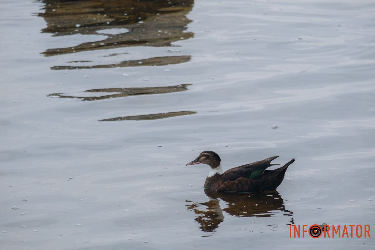 Дніпро у сірому: похмурий весняний день очима міста 18