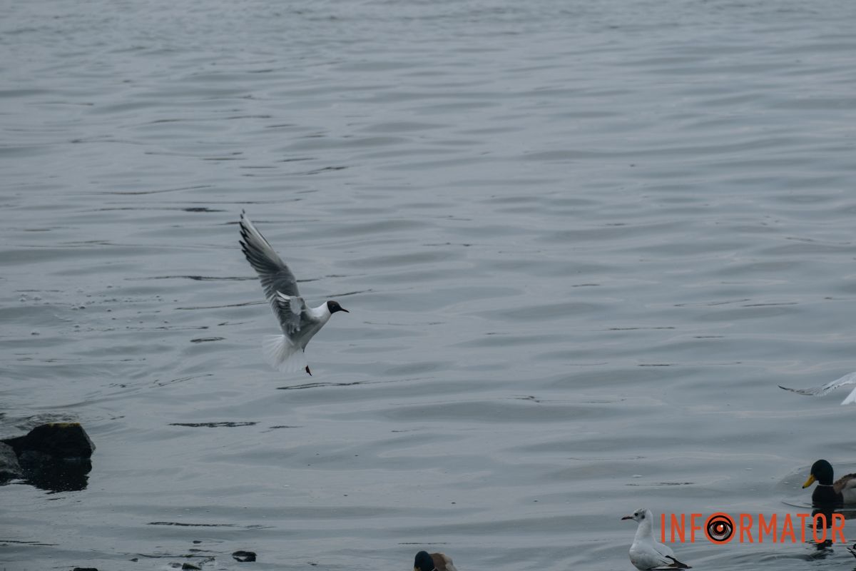 Дніпро у сірому: похмурий весняний день очима міста 26