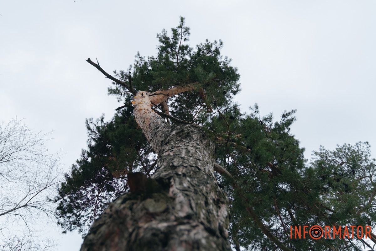 Дніпро у сірому: похмурий весняний день очима міста 24