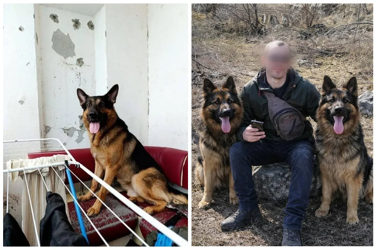 Інцидент стався під час стриму в ТікТок Інцидент стався під час стриму в ТікТок