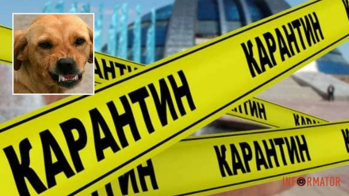 Бешенство в Центральном парке: в каком городе в Днепропетровской области ввели карантинные ограничения