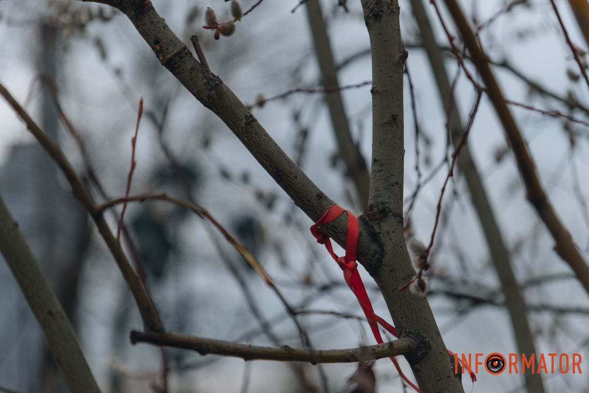 Пушистый символ весны: на Монастырском острове появились ивовые котики.