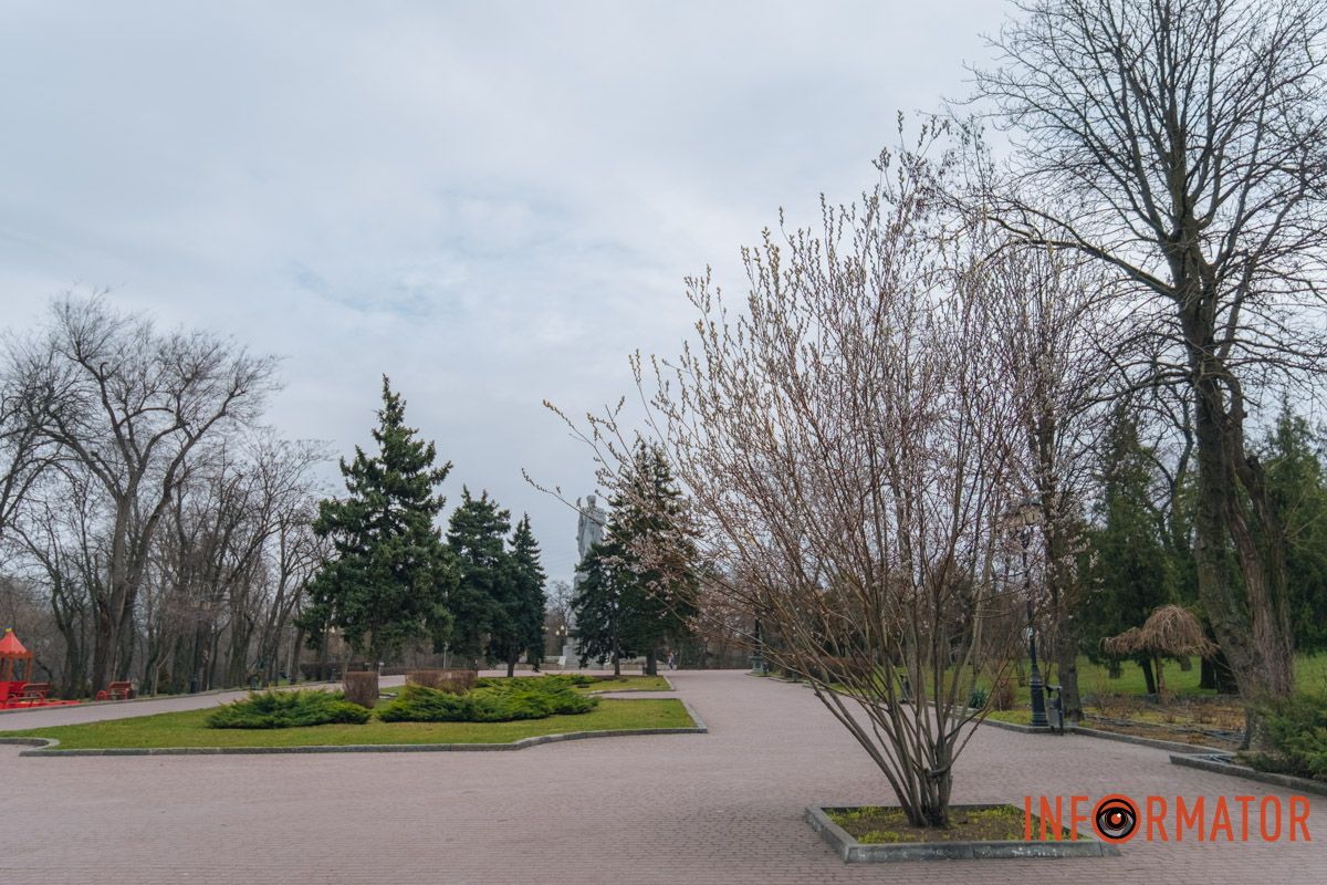 Пушистый символ весны: на Монастырском острове появились ивовые котики 44