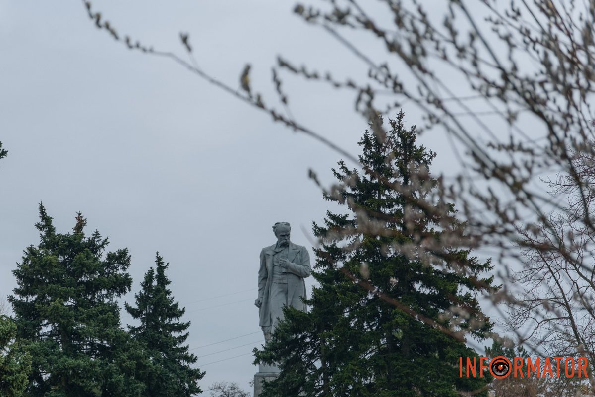 Пушистый символ весны: на Монастырском острове появились ивовые котики.