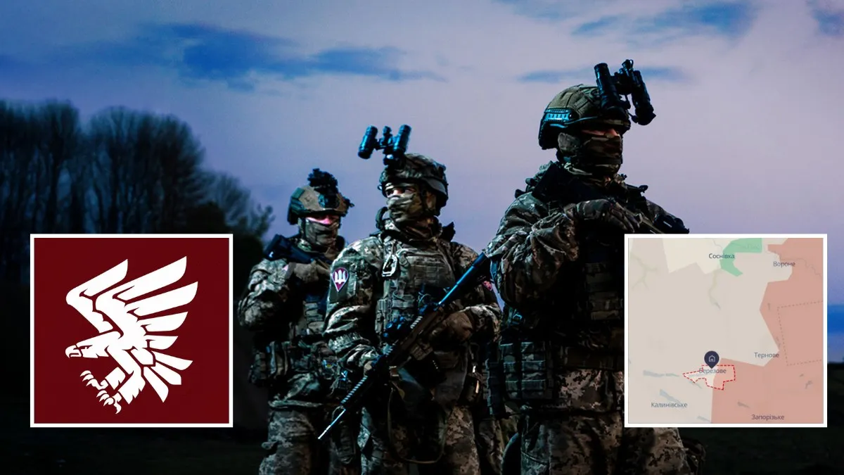 "Взяли під повний контроль": 95-та бригада заявила про звільнення Березового у Дніпропетровській області